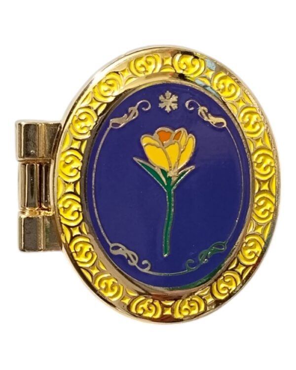 Anna and Elsa Locket Pin