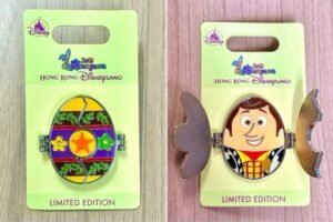 Woody Hinged Egg