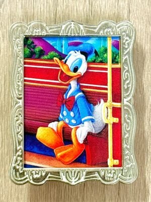 Donald Framed Pin
